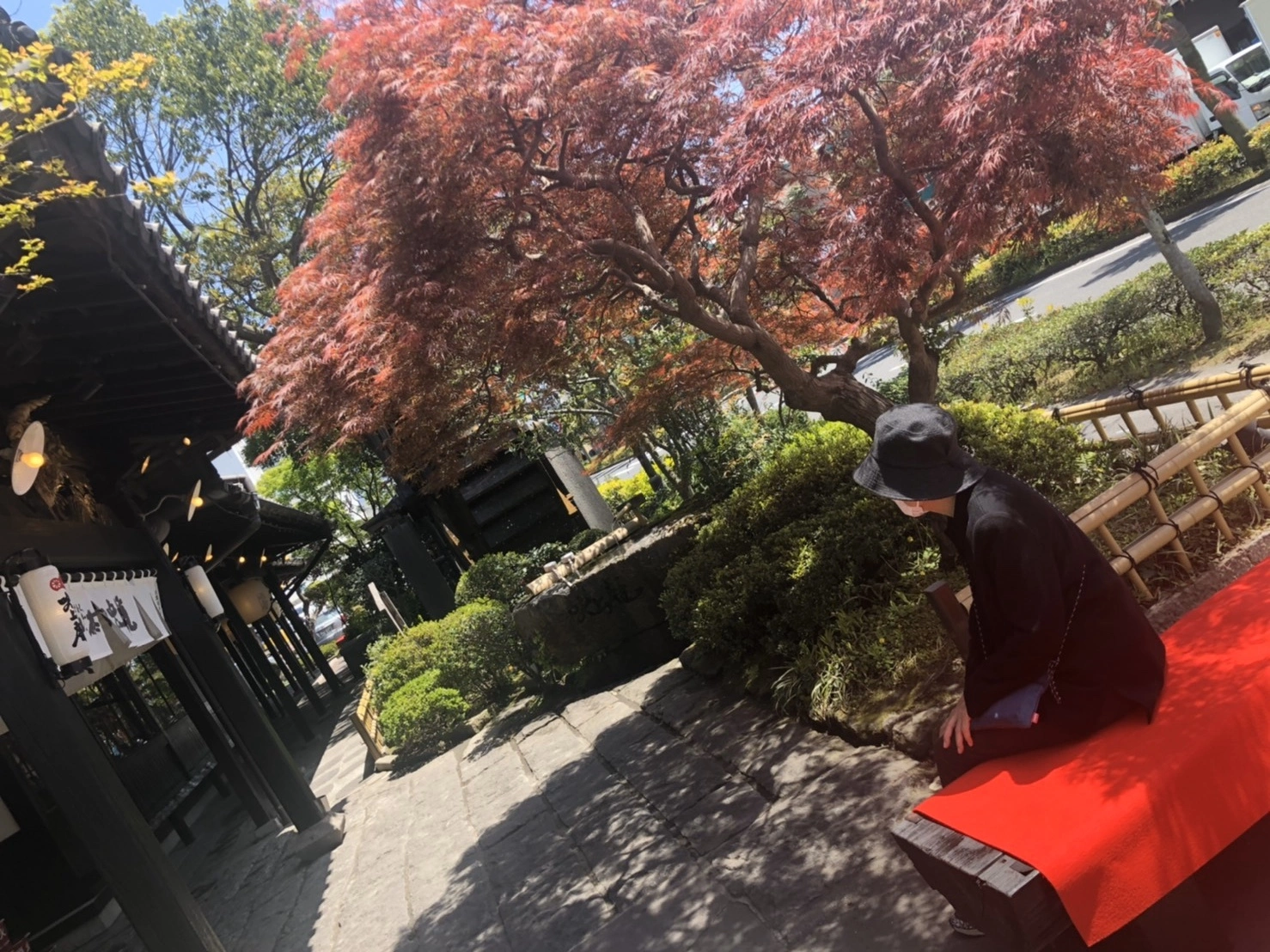 宇佐美 みみ