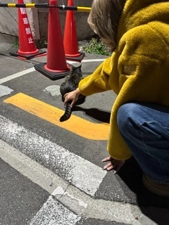 灯 ひなた