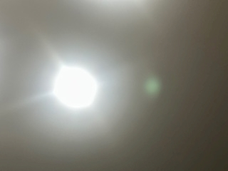 空条 しいな