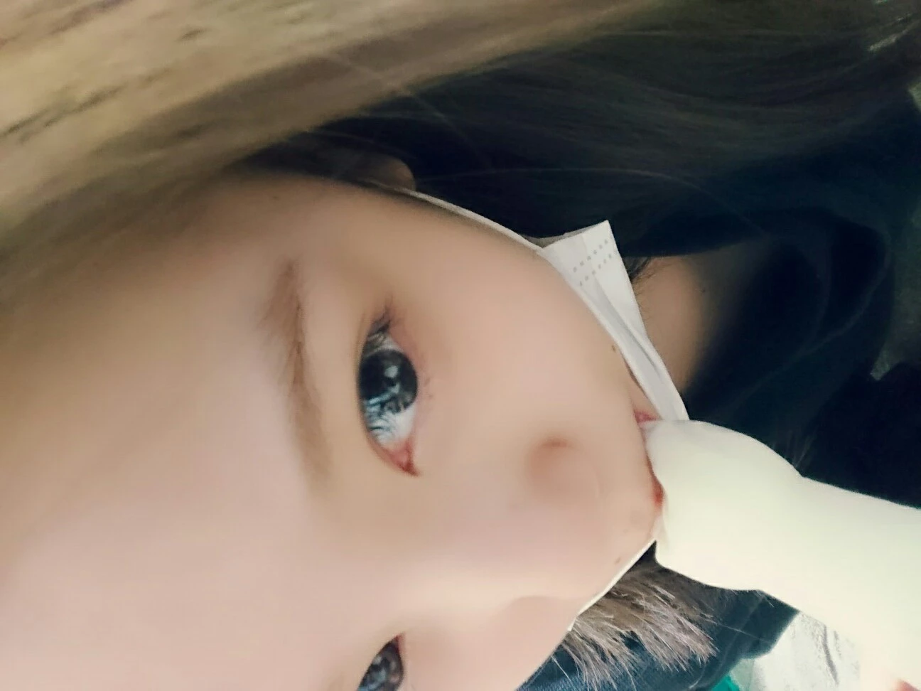らん