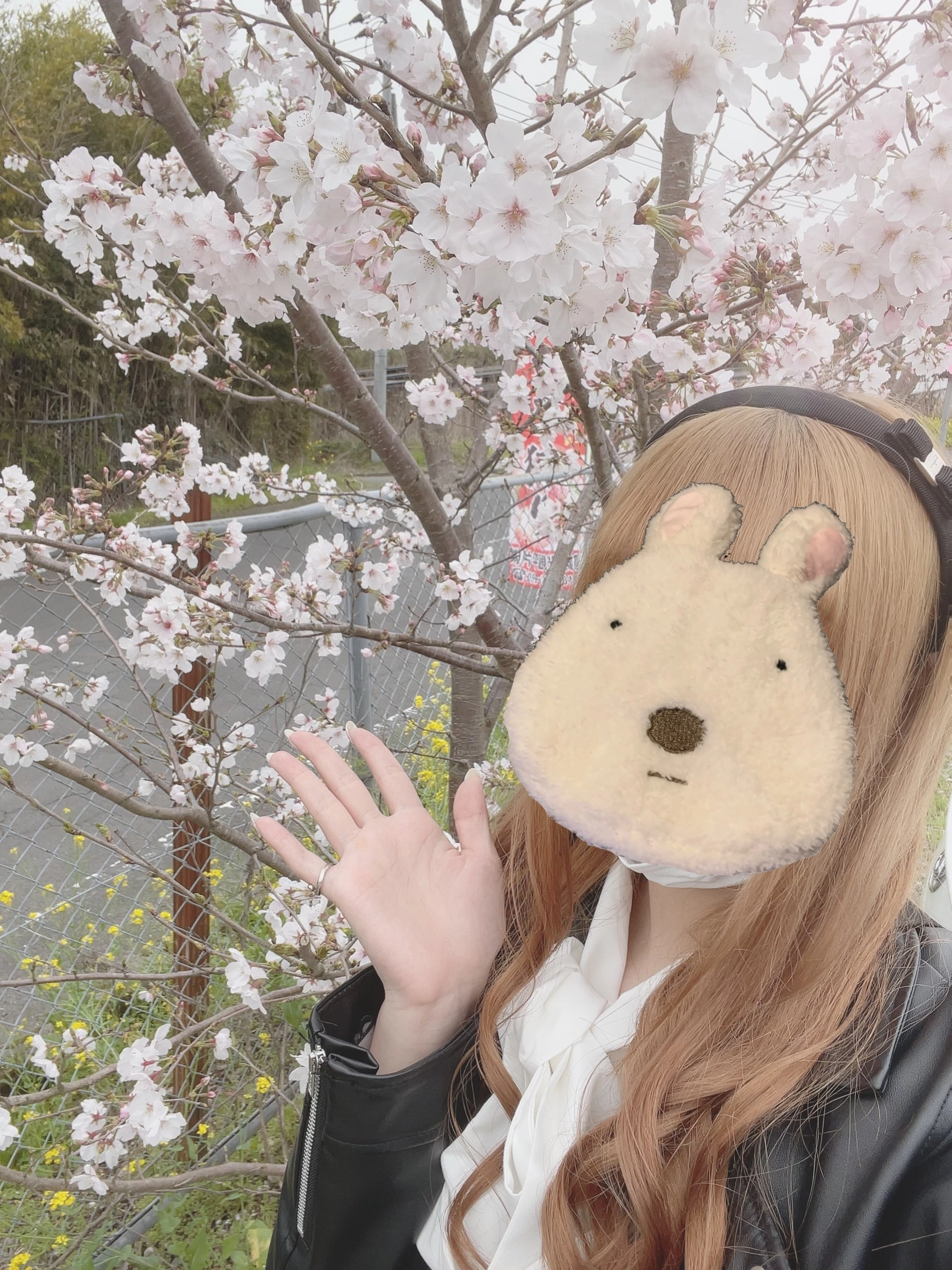 まゆ