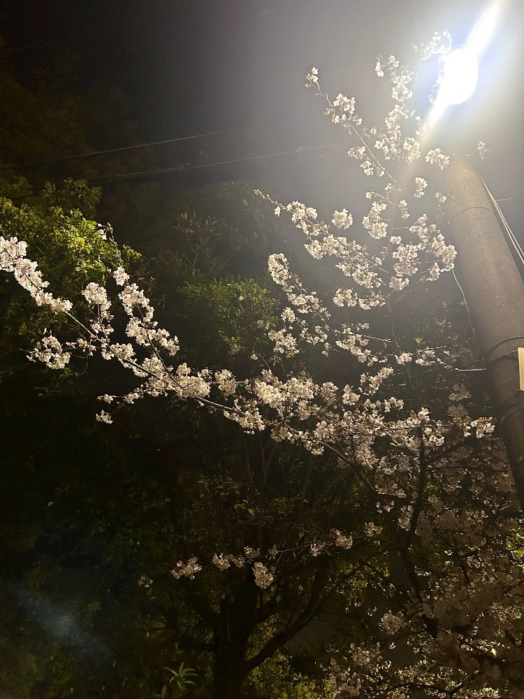のどち スタッフ