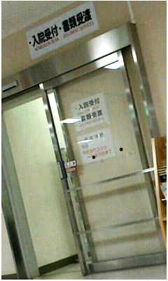 紫音