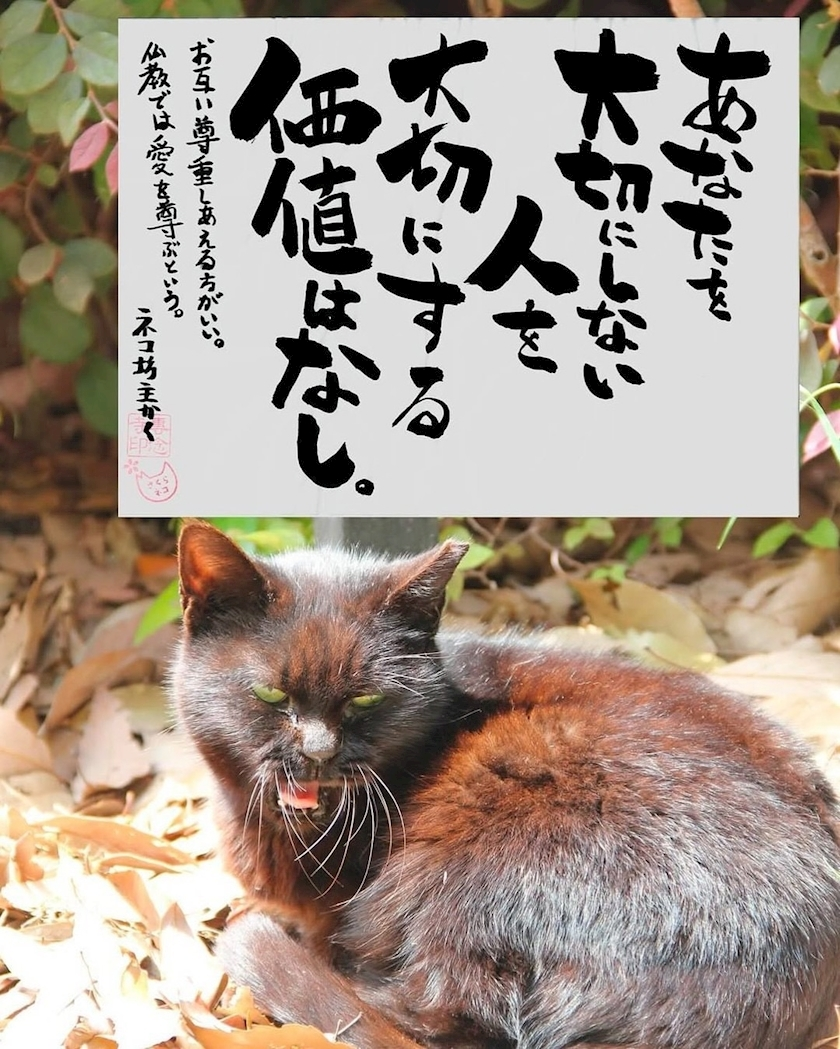 一ノ瀬 はづき