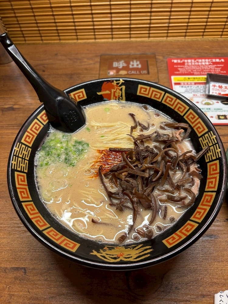 佐倉 里緒
