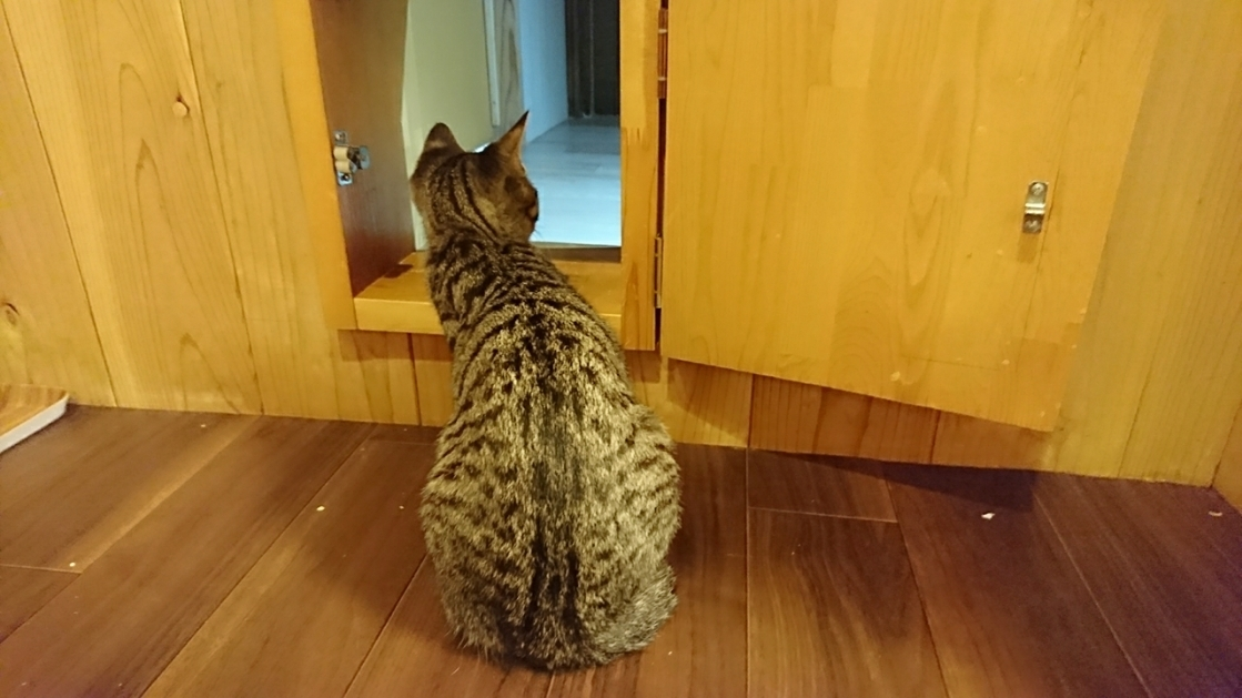 五条 椿