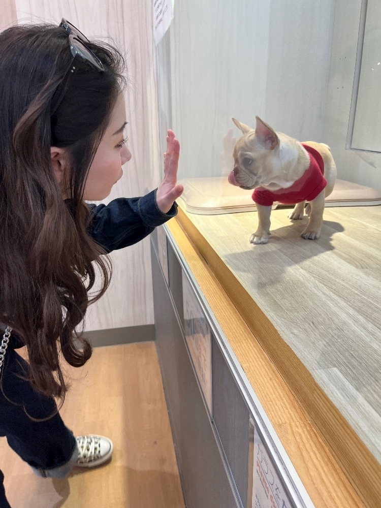如月 さき