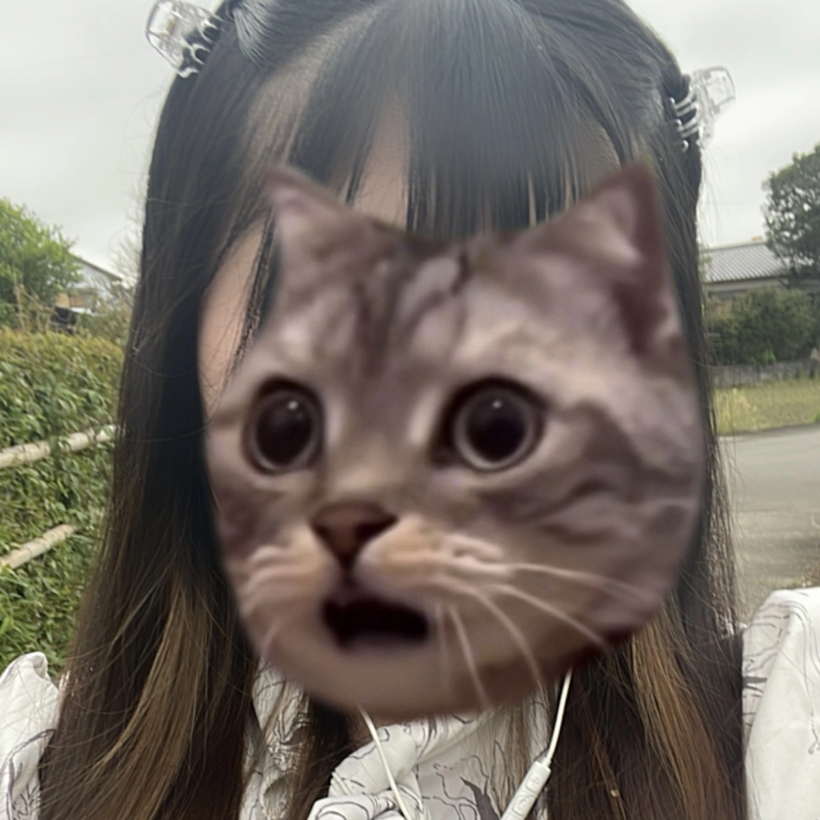ちゃお