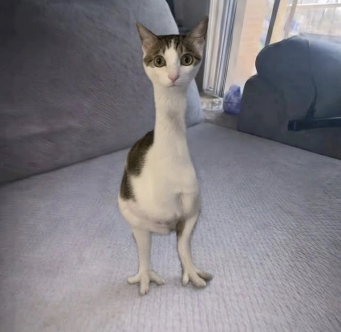 りおん