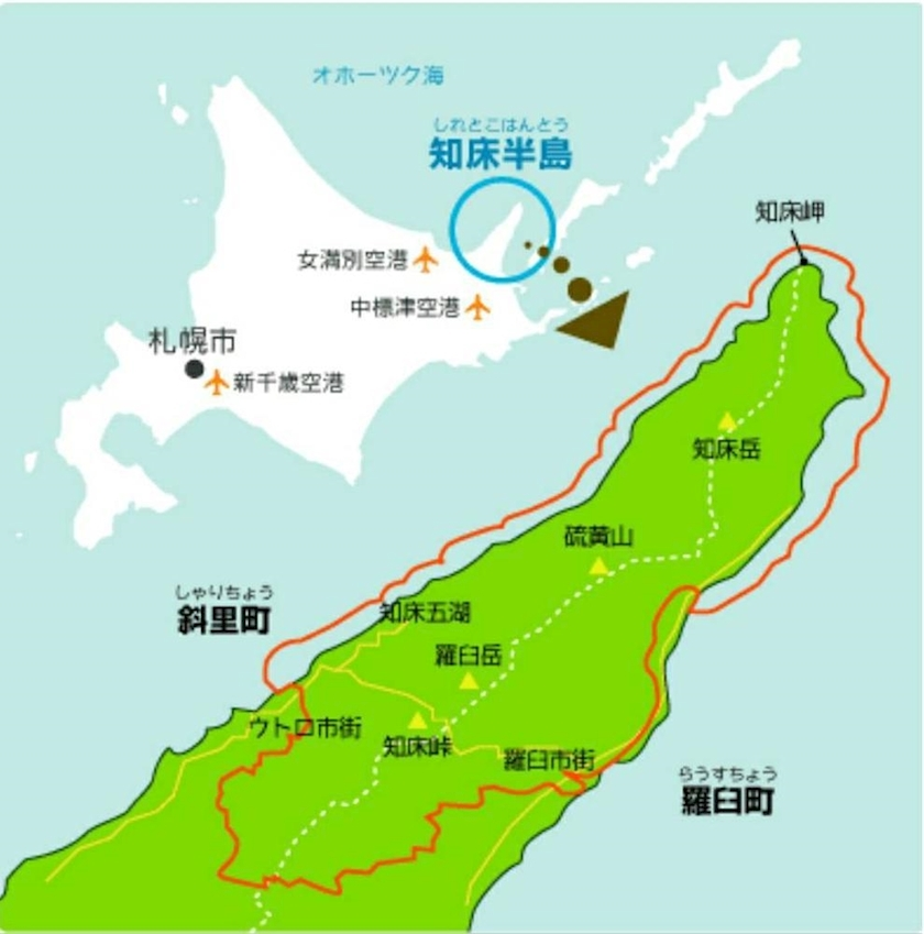 エミ （スタッフ）
