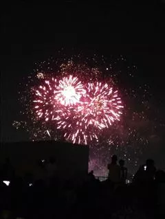 愛羽 仁美