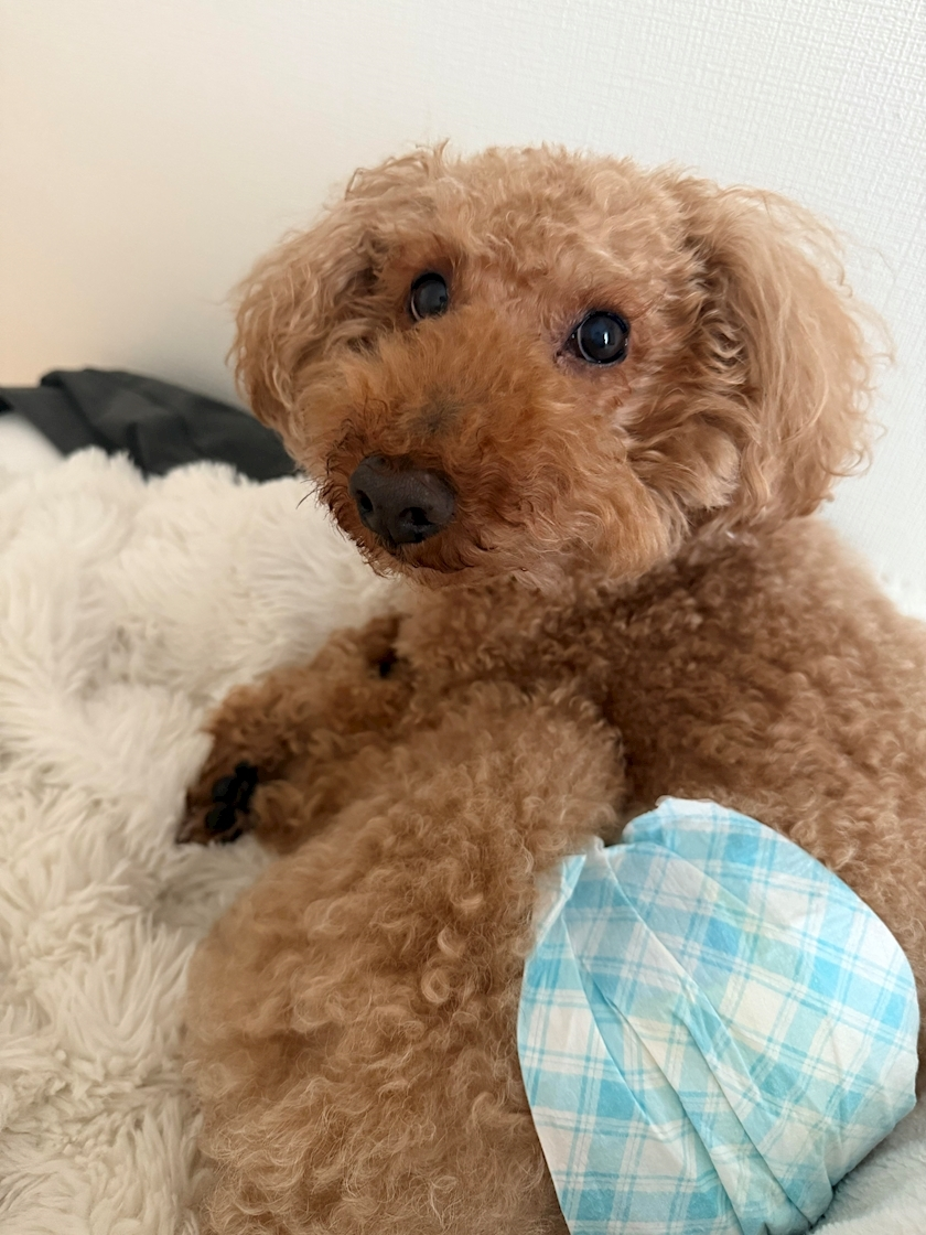 美波 あいか