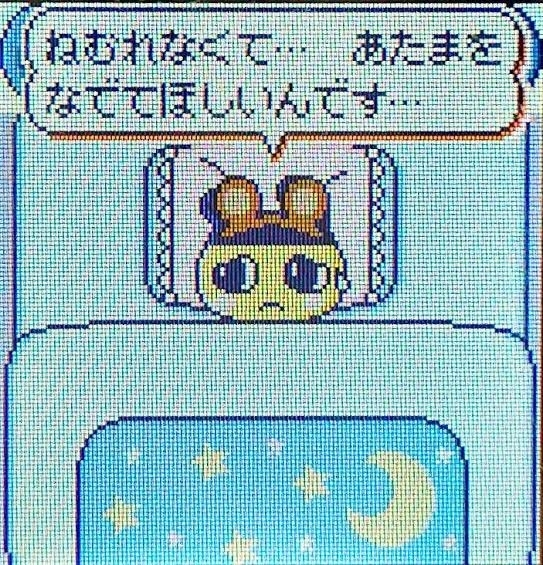 かびるんるんさわ