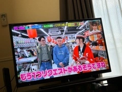 灯 ひなた