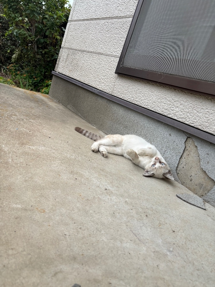 水田 まり