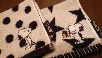 ひな