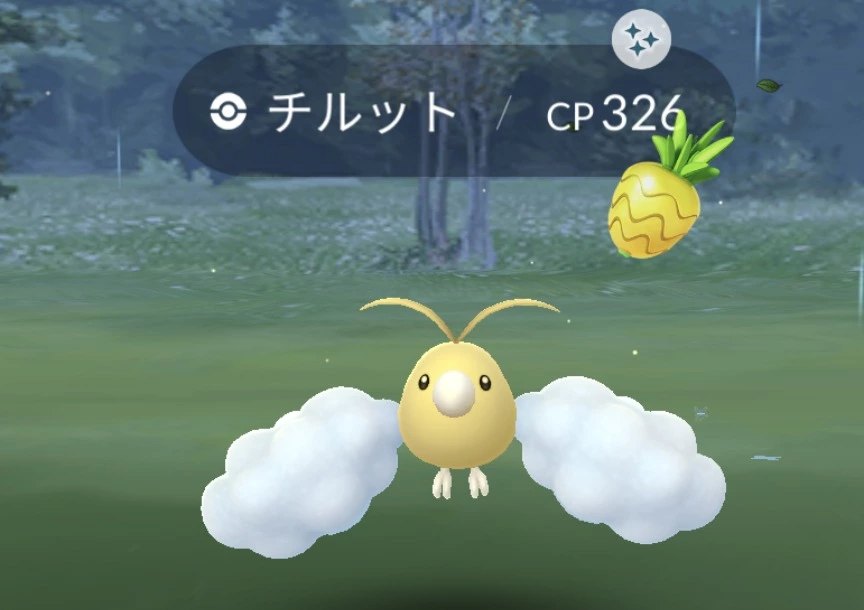五条 椿