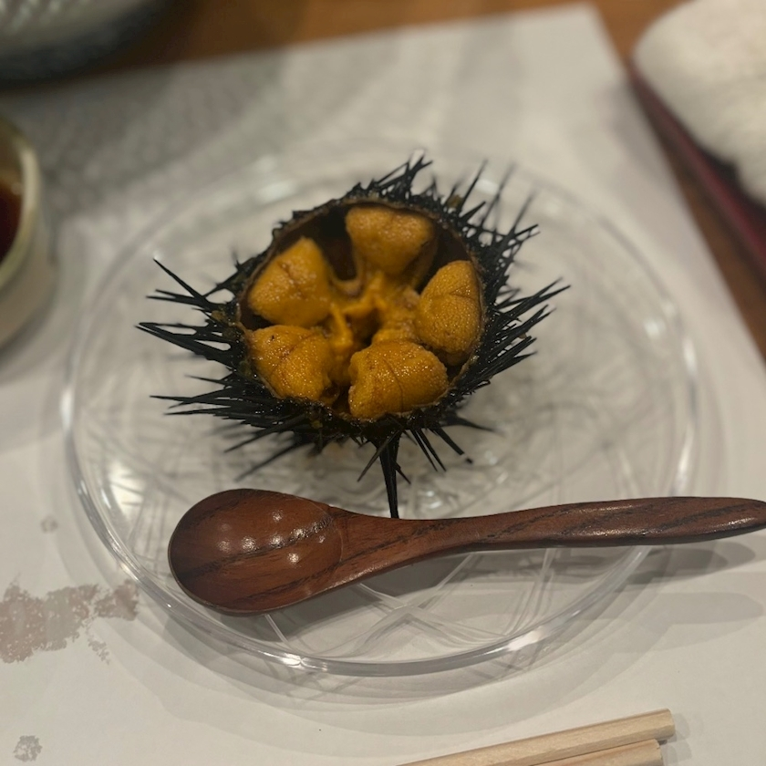 陽向 もみじ