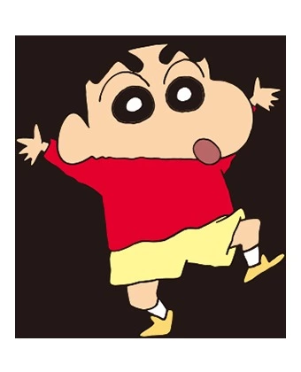 司