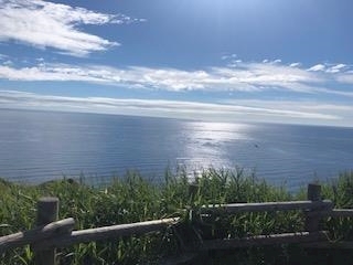 成海 まお