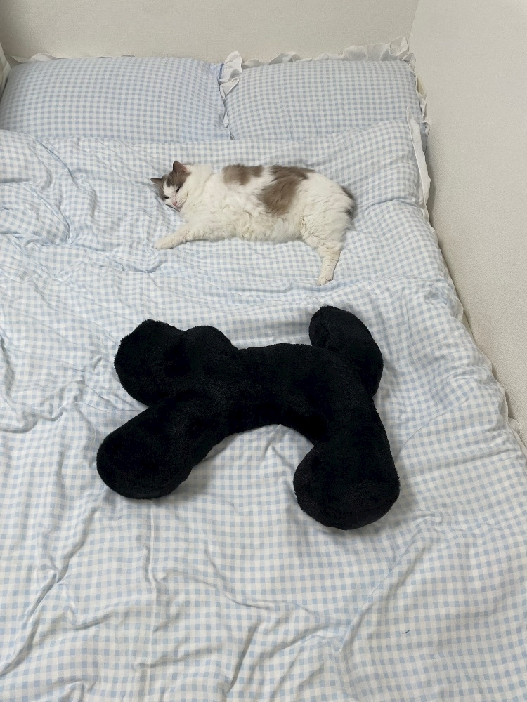 辻 みなみ