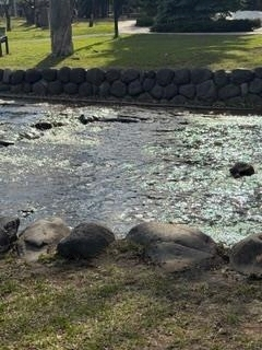 成海 まお