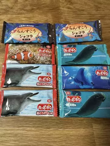 白石 愛莉