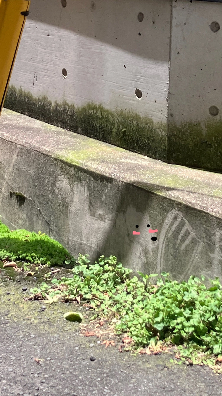 かずは