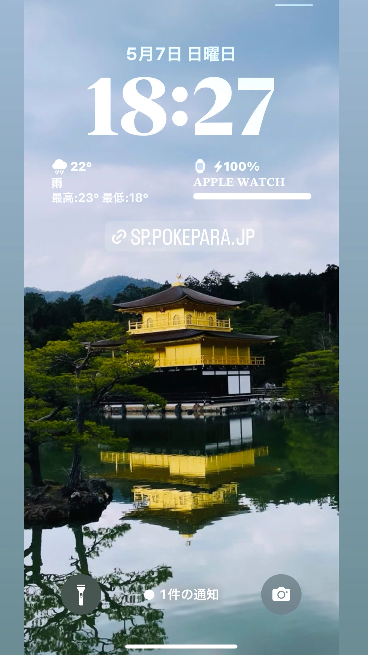 司