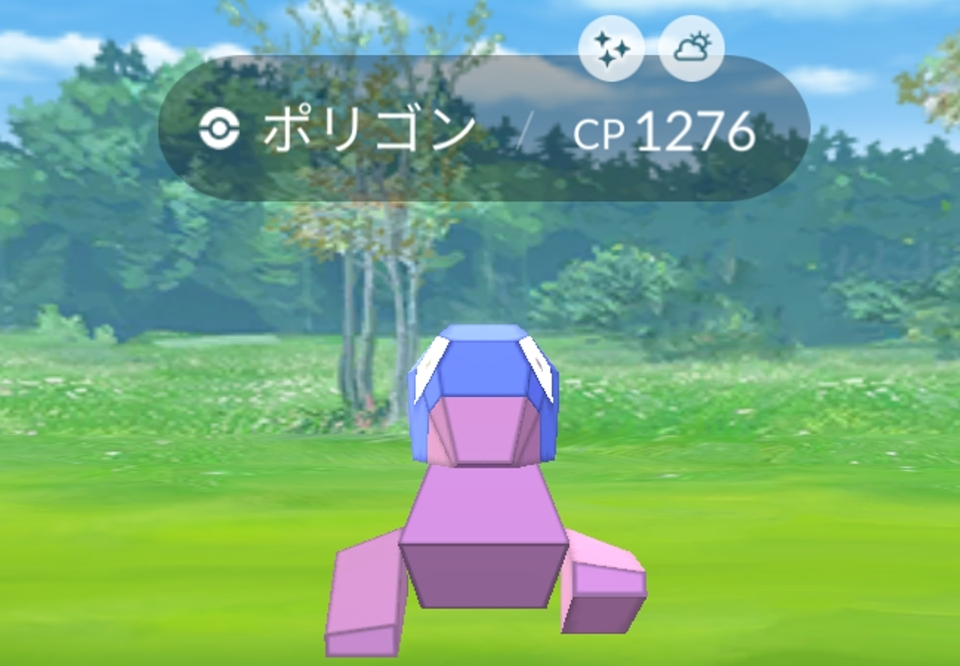五条 椿