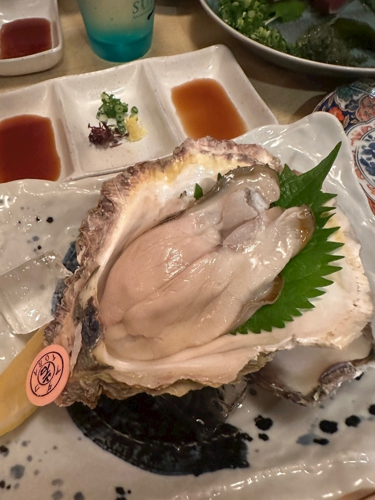 一条 れん