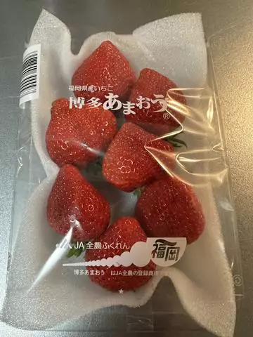 白石 愛莉