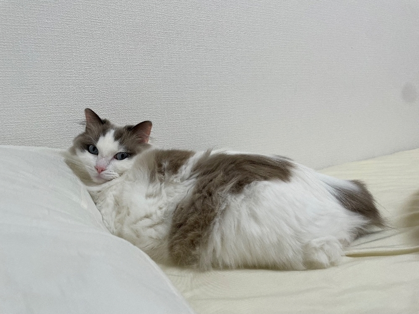 辻 みなみ