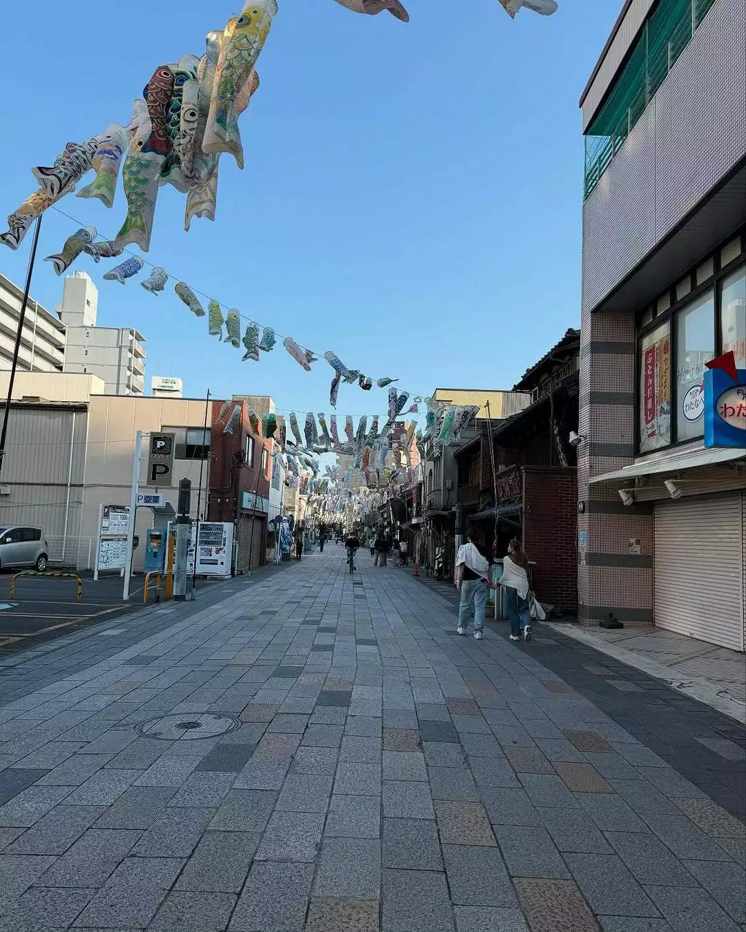 マユ