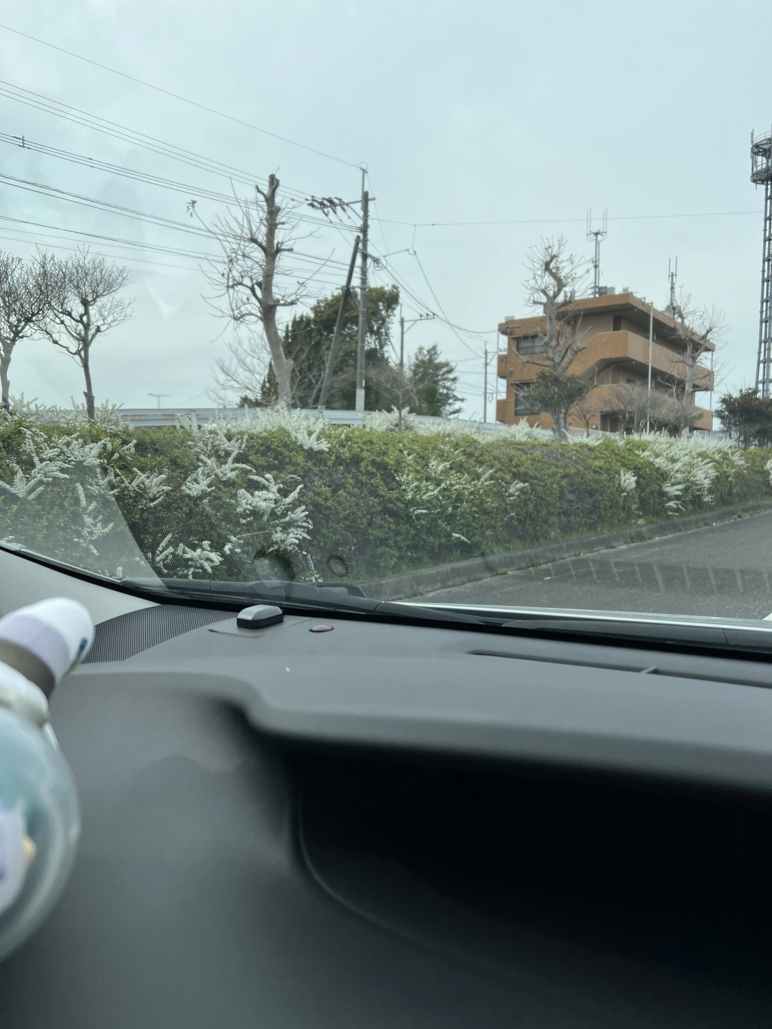 藤本 祐子ママ