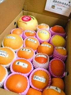 愛乃 悠稀