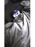 セリカ