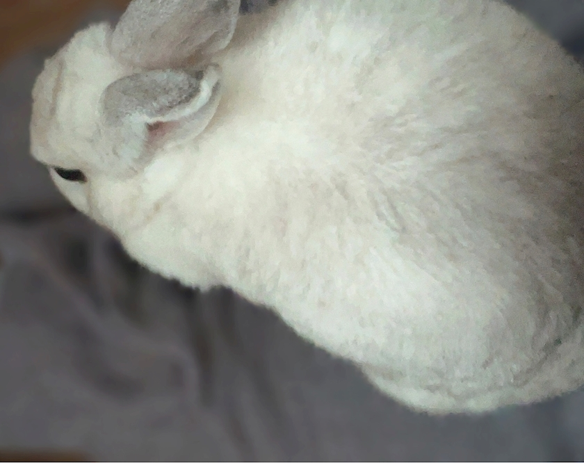 ユイ