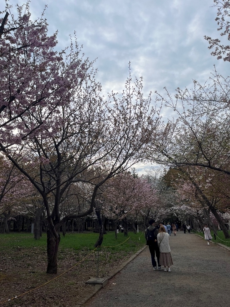 乙川 ゆあ