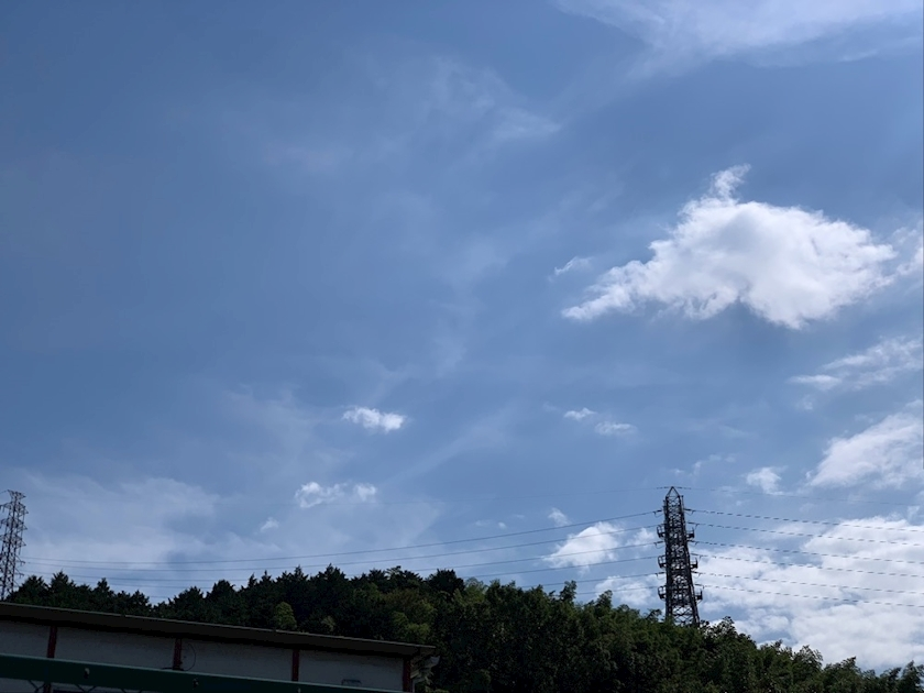 椿綺 楓