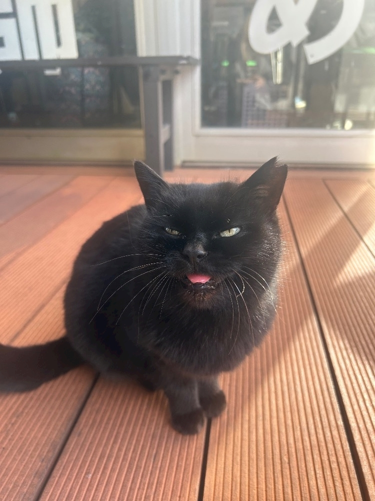 かびるんるんさわ