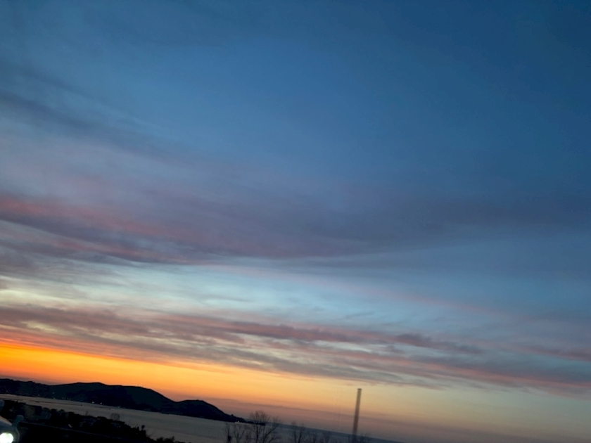 香川 ゆい