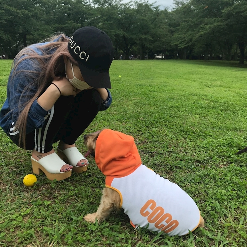 紗貴