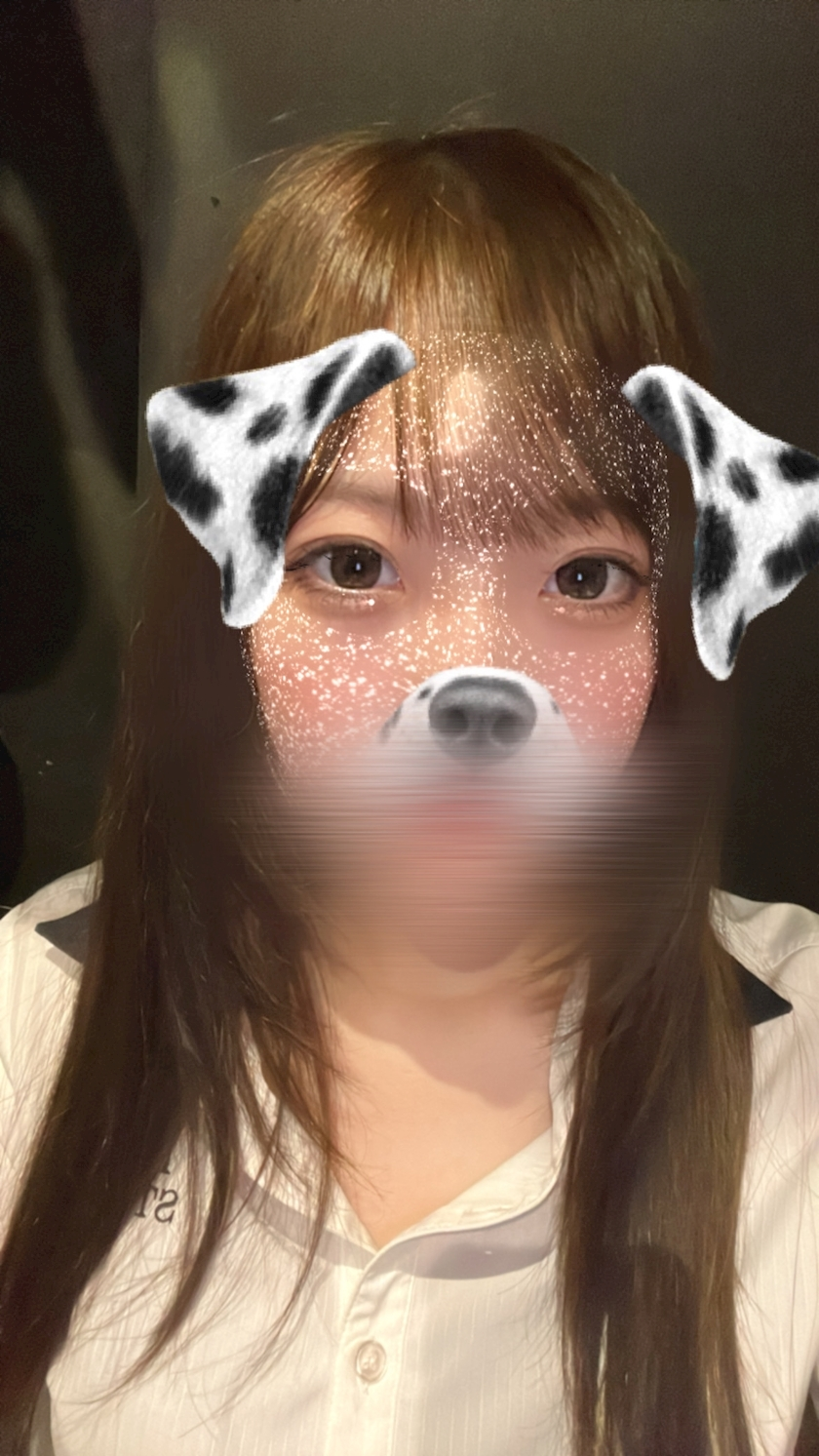 ここ