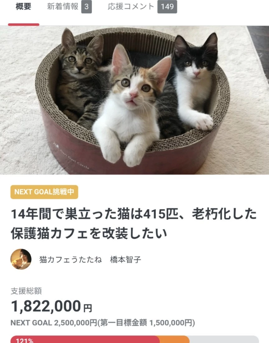 五条 椿