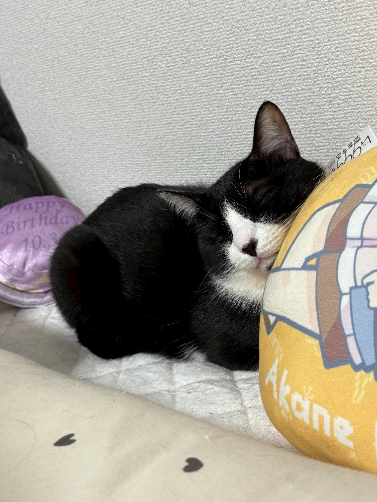 サキ