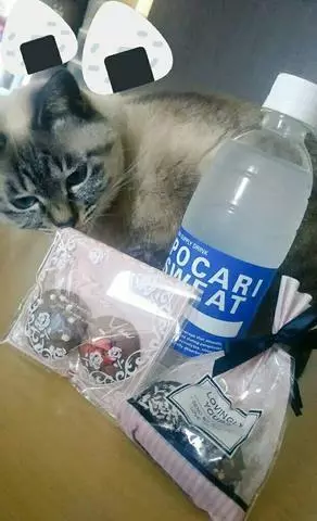 ひな