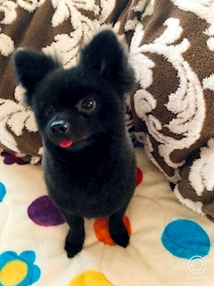 ティナ