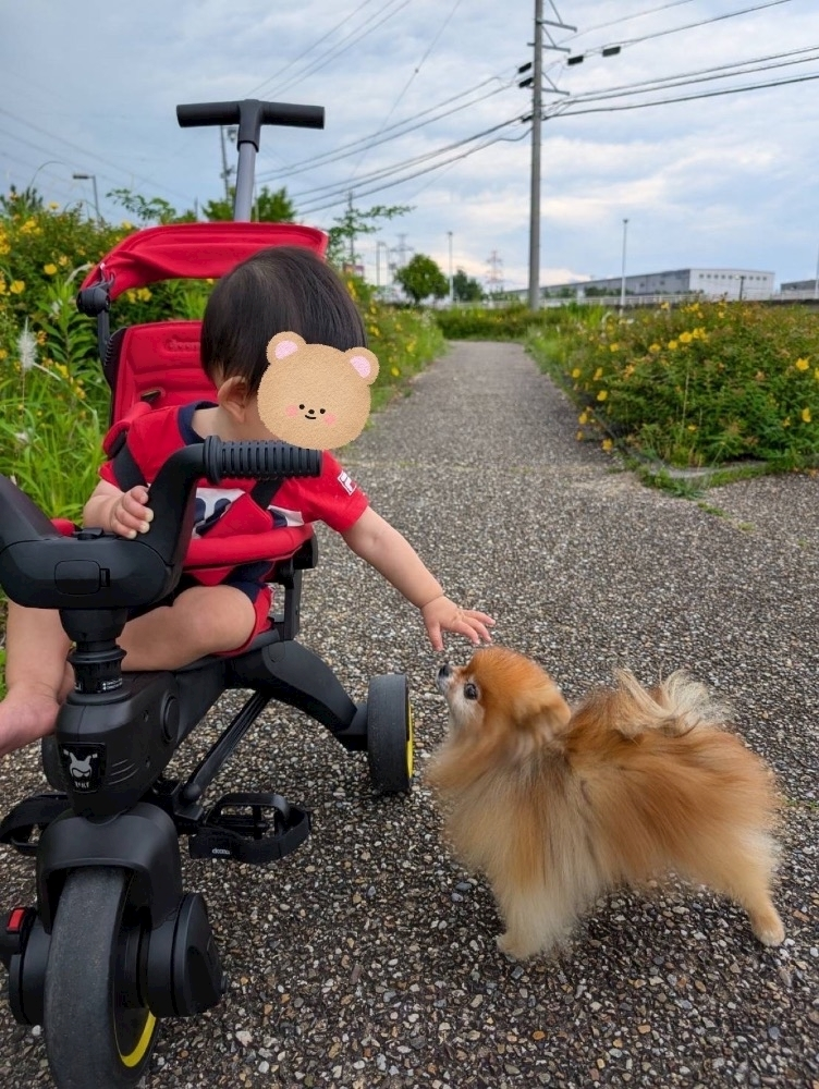 滝宮 あや