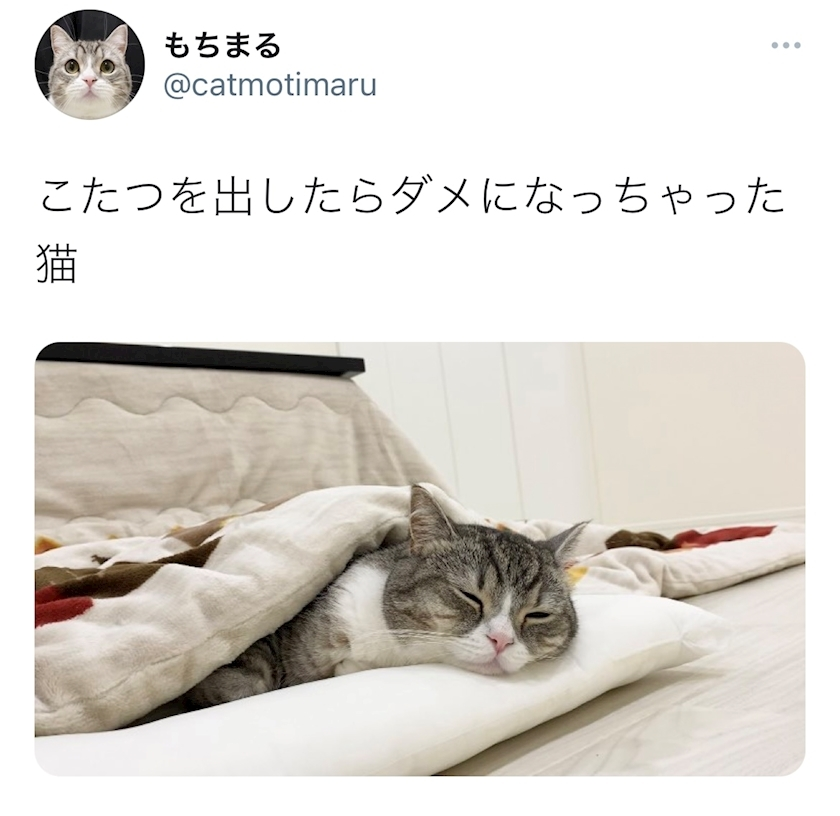 れみ